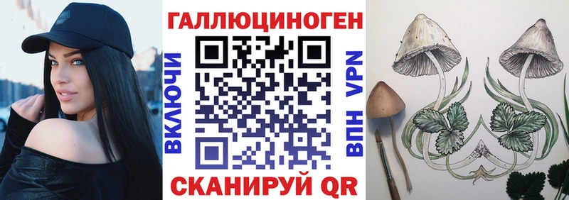 omg онион  цена   Питкяранта  Псилоцибиновые грибы GOLDEN TEACHER 