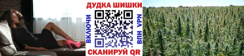 закладка  Питкяранта  Шишки марихуана планчик 